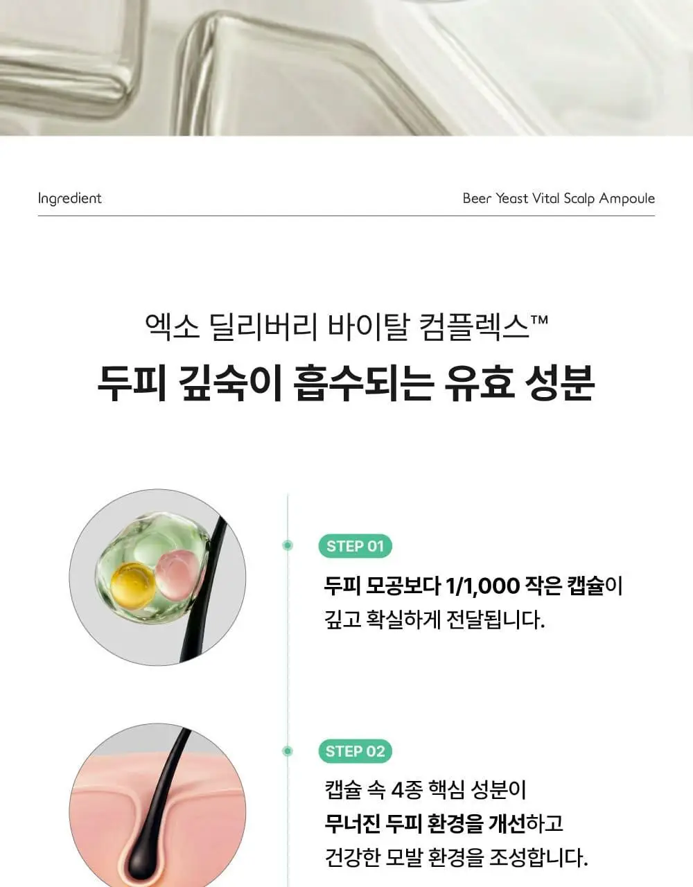 [5종임상완료/4주탈모케어] 애쉬로렌 맥주효모 바이탈 스칼프 앰플 100ml 상세페이지 34